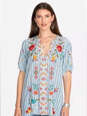 Johnny Was Light Blue Striped Tunic with Multicolor Floral Embroidery